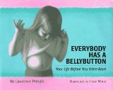 Everybody Has a Bellybutton: Your Life Before You Were Born
